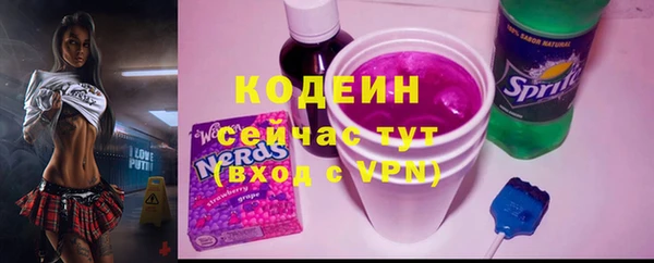 твердый Абаза
