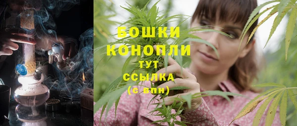 PSILOCYBIN Абдулино